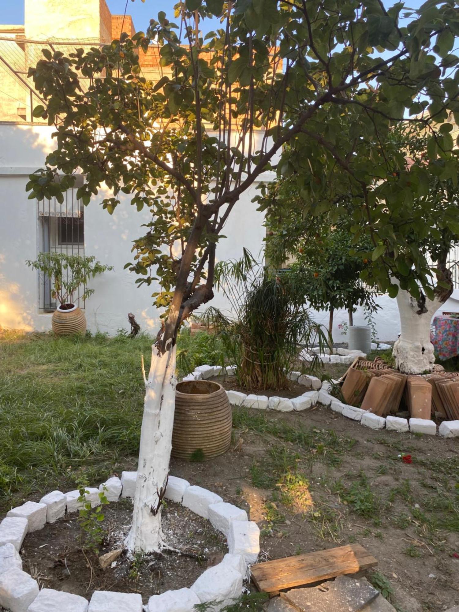 Best Located Ruby Luxury Escape Kalamata Extérieur photo